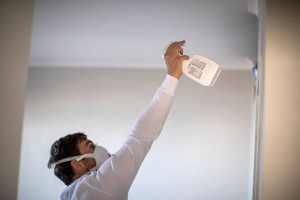 Best Home Mold Removal  in Cherry Grove, OH