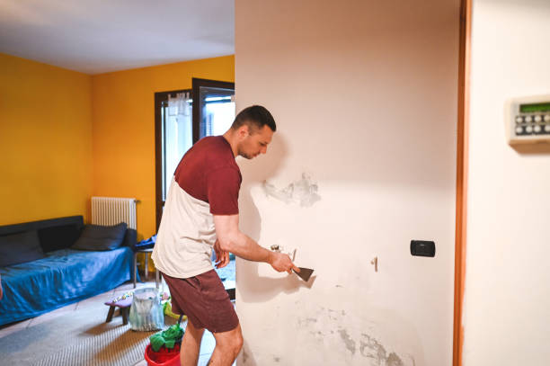 Best Mold Remediation Experts  in Cherry Grove, OH